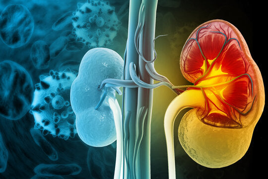 What Are The Different Stages of Diabetic Kidney Disease?